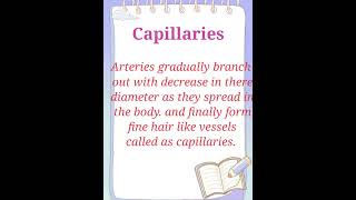 Information about CapillariesDefine Capillariesinformation about bloodvesselsWorld Of Science [upl. by Niwdla624]