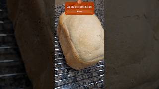 Baked fresh bread in Vevor breadmaker [upl. by Almeeta945]