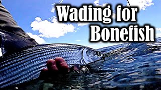 Wading for Bonefish on the Flats [upl. by Auliffe]