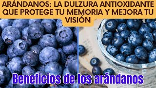 Arándanos La Dulzura Antioxidante que Protege tu Memoria y Mejora tu Visión [upl. by Idas484]