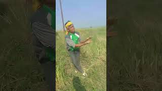 Suna chhathi Maiya dikhaiye na singer Mukesh Yadav [upl. by Winwaloe]