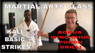 Martial Arts Class  Follow Along At Home [upl. by Novelia347]