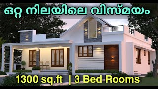 ഒറ്റ നിലയിലെ വിസ്മയം  1300 sqft 3 Bed Room Single story House plan with 3D Elevation [upl. by Nemajneb]