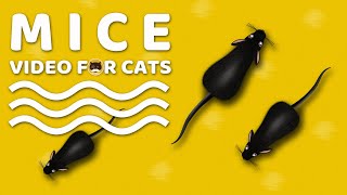 CAT GAMES  Mice Mouse Sounds Video for Cats  CAT amp DOG TV [upl. by Avril334]