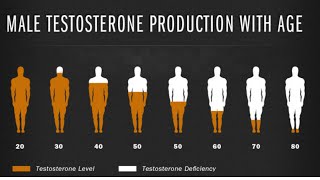 What is testosterone Pharmacology and psyche The main male hormone [upl. by Piks]