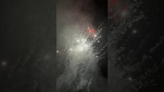 Pyrogenie Batterie Wirbel Effekt fypシ゚viral fajerwerki feuerwerk vuurwerk fypシ゚ [upl. by Eittod]