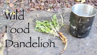 Wild Food  Dandelion Dandelion Coffee and Nitsuke style root Plus a Couple of Thank Yous [upl. by Nace]