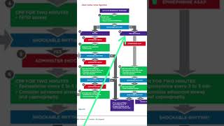 ACLS Protocol for Pulseless Electrical activity norcet7 norcet7papersolution rncctestseries [upl. by Lindo269]