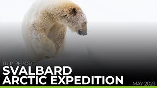 TRIP REPORT  Svalbard Arctic Expedition May 2023 [upl. by Lopez646]