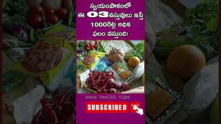 స్వయంపాకంలో ఈ 03వస్తువులు ఇస్తే 1000రెట్ల అధిక ఫలం వస్తుందిmanahealthtips [upl. by Gilud]