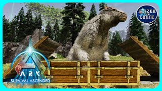 ASA Megatherium Trap  How to Build a Megatherium Trap  ARK Survival Ascended [upl. by Aneeb]