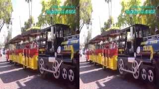 3DVideo AIDA Ausflug KEY08  Key West quotMultiStopsquot Panoramafahrt mit Conch Tour Train [upl. by Eirrok]