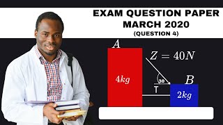 Grade 11 Exam Question Paper March 2020 Question 4 [upl. by Dennett]