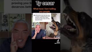 Rottweilers growling When cesarmillan duets my video [upl. by Adest]