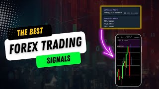 The BEST Forex Signals Group in 2024  WATCH NOW FOR PROOF [upl. by Atirahs]