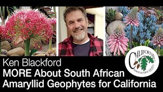 MORE About South African Amaryllid Geophytes for California with Ken Blackford [upl. by Aicen897]