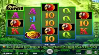 Prowling Panther™ slot game by IGT  Gameplay video by Slotozilla [upl. by Latsirc]