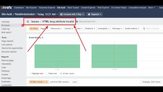 HTML lang attribute invalid error in Ahref Site Audit [upl. by Leno359]