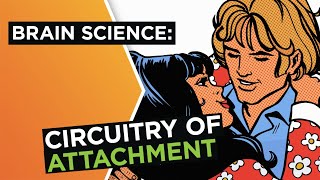 Brain in love The science of attachment in relationships  Helen Fisher  Big Think [upl. by Arihs]