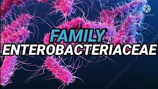 FAMILY ENTEROBACTERIACEAE  in UrduHindi [upl. by Lraep]