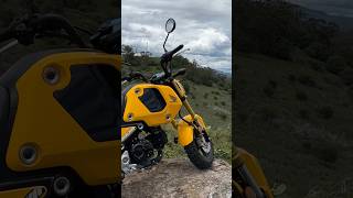 Honda Grom [upl. by Guilbert]