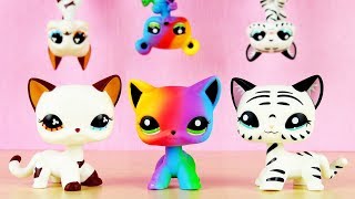 NEW LPS G2 SHORTHAIRS Fake LPS [upl. by Elimay543]