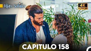 Pájaro Soñador Capítulo 158 Doblado En Español 4K [upl. by Monia]