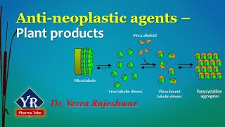 Antineoplastic agents  Plant products  Etoposide  Vinblastine  Vincristine  YR Pharma Tube [upl. by Aniroc]