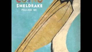 Cosmo Sheldrake  Pelicans We [upl. by Menon]