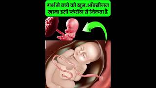 गर्भ मे बच्चे को खूनआँक्सीजन खाना इसी प्लेसेंटा से मिलता है pregnancytips pregnancytipsinhindi [upl. by Thelma]