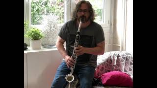 Alto Clarinet Free Jazz [upl. by Vilberg729]