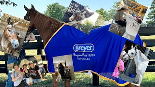 My BreyerFest Experience for 2024 [upl. by Arihsat]