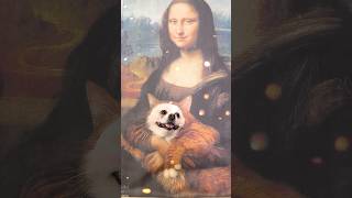 Monalisa hugs Niconico smartnico cute funny pets [upl. by Arbas]