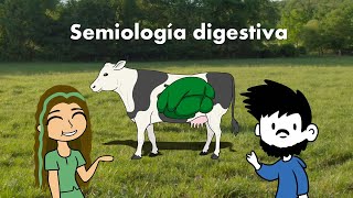 Semiología digestiva en rumiantes [upl. by Micheline]