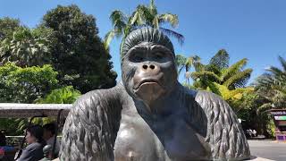 4K Walking TourSan Diego Zoo2024San DiegoCaliforniaDJI Pocket3 [upl. by Ramberg714]