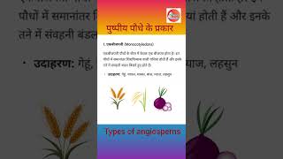 पुष्पीय पौधे के प्रकार 🌾  Types of angiosperm  scienceclass angiosperms floweringplant [upl. by Haianeb]