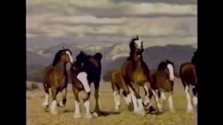 Top 10 Budweiser Super Bowl commercials 1 [upl. by Boelter]