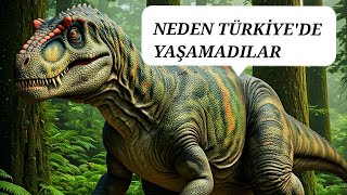 🦕🦖DİNAZORLAR NEDEN TÜRKİYEDE YAŞAMADI [upl. by Asilad]