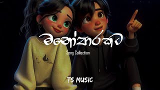 මනෝපාරකට Slowed  Reverb Song Collection  Tranding Songs  Manoparakata sindu  TS MUSIC [upl. by Aryahay]