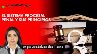 El sistema procesal penal peruano y sus principios [upl. by Noillid]