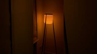 Umea  a standing lamp in bohoscandi style lamp asmr boho scandi 3dprinting interiordesign [upl. by Riobard]