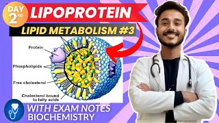 lipoprotein biochemistry  biochemistry of lipoprotein classification  lipoprotein metabolism [upl. by Qulllon]