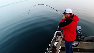 Salmon amp Lake Trout Jigging Technique [upl. by Ttergram]