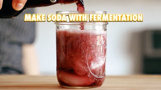 Make a Soda Out of Anything With Fermentation [upl. by Claudius201]