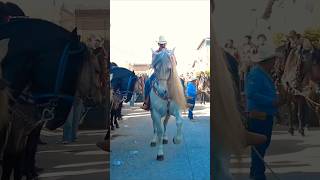 CABALLO BAILADOR Jalisco 🇲🇽 Dancing horse shorts [upl. by Ahsyek736]