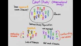 RCT vs Cohort study [upl. by Ecallaw]