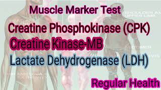 Muscle Marker Test muscular Marker Test CPK CK MB LDH Test [upl. by Anassor]