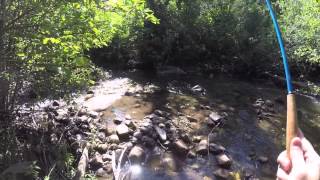 089 Tenkara Rod Co Cascade rod on a small stream [upl. by Acisset]