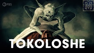 Blame the Tokoloshe South Africa’s Most Notorious Goblin [upl. by Ardnasak]