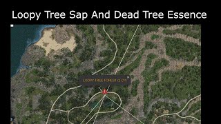 Easy To See And Gather Loopy Tree Sap With Dead Tree Essence [upl. by Rech]